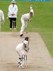 Tremlett-Wood3-14-504