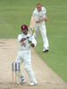 Kirby-Ponting3-22-704