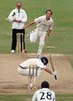 Kruis-Gray1-29-705