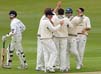 WicketCelebrations1-25-505