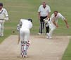 Gillespie-VanJaarsveld1-17-806