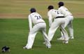 YorkshireSlips1-16-910