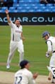 Bresnan-Adams3-12-511