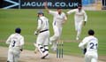 Bresnan-Adams5-12-511