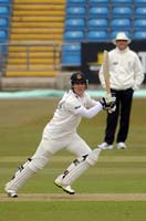HamiltonBrownRory5-11-0413