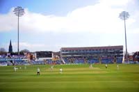 EmeraldHeadingley3-20-0418