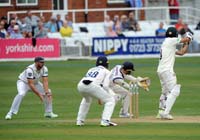 Yorkshire-CloseFielding1-20-0818