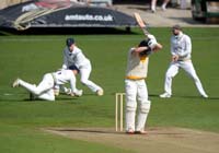 TattersallJonny-DivingCatch2-2-0423