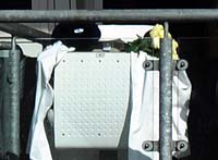 BirdDickie-Seat-Headingley1-24-0925