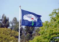 YorkshireFlag1-12-0425