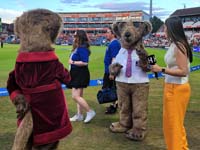 Meerkat-Entertainment4-4-0826
