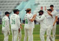 Leicestershire-CelebrateWicket6-27-0826