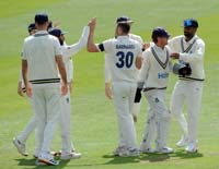 Warwickshire-CelebrateWicket2-12-0626