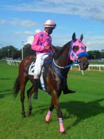 Barbados-HorseRacing11-7-1213