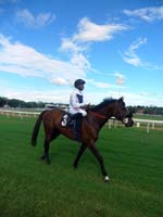 Barbados-HorseRacing13-7-1213