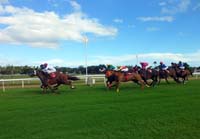 Barbados-HorseRacing14-7-1213