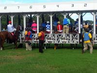 Barbados-HorseRacing15-7-1213