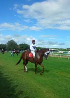 Barbados-HorseRacing16-7-1213