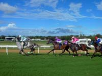 Barbados-HorseRacing5-7-1213