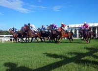 Barbados-HorseRacing7-7-1213