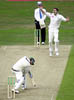 Anderson-Kallis2-21-803