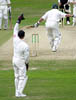 Stewart-Kallis1-23-803