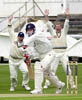 CrawleyJohn3-24-502